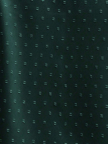 Clasi Women's Solid Color Ruffle Trim Swiss Dot Minimalist Long Sleeve Blouse