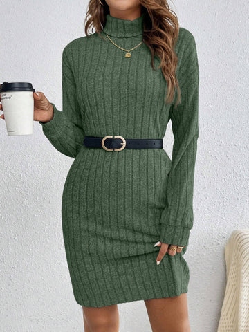Solid Color High Neck Long Sleeve Textured Fabric Dress