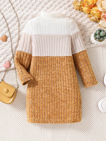 Girls Casual Comfortable Knit Thick Ribbed Colorblock Turtleneck Long Sleeve Fitted Dress, Autumn/Winter
