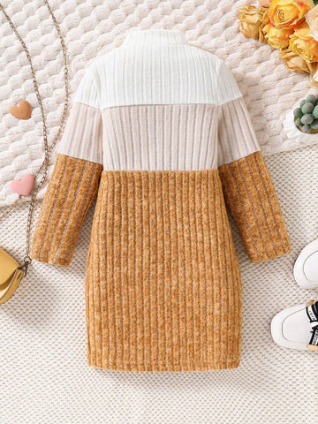 Girls Casual Comfortable Knit Thick Ribbed Colorblock Turtleneck Long Sleeve Fitted Dress, Autumn/Winter