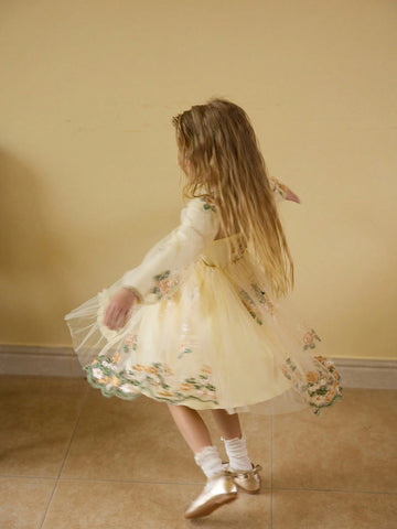 Girls Fashion Elegant Floral Embroidery Lace Long Sleeve Dress, Suitable For Everyday Wear, Holiday, Party, Gift, Autumn