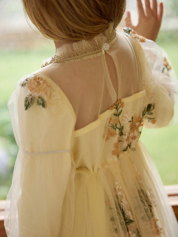 Girls Fashion Elegant Floral Embroidery Lace Long Sleeve Dress, Suitable For Everyday Wear, Holiday, Party, Gift, Autumn