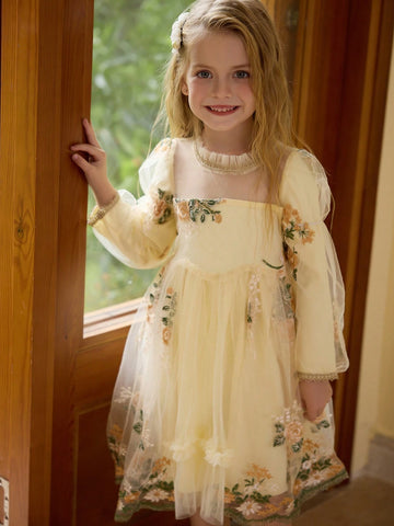 Girls Fashion Elegant Floral Embroidery Lace Long Sleeve Dress, Suitable For Everyday Wear, Holiday, Party, Gift, Autumn