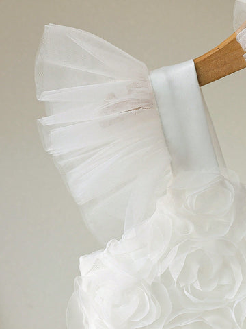 Kids Girls Elegant 3D Floral Embroidery Cap Sleeve Dress