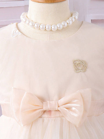 Little Girls' Elegant & Romantic Gold Embroidered Mesh Princess Dress