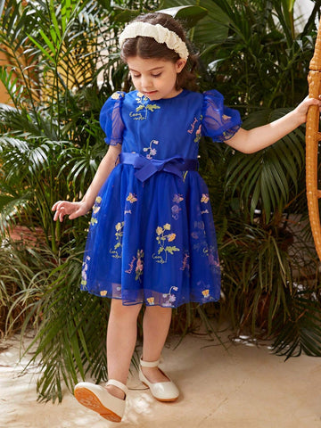 Little Girl's Flower Embroidery & Mesh Patchwork Dress