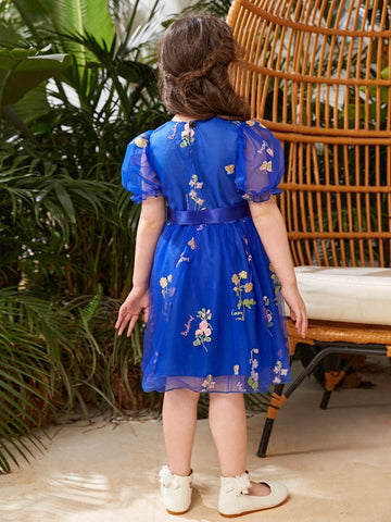 Little Girl's Flower Embroidery & Mesh Patchwork Dress