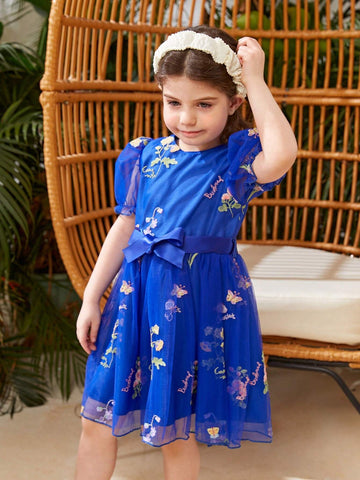 Little Girl's Flower Embroidery & Mesh Patchwork Dress