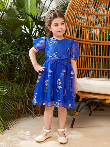 Little Girl's Flower Embroidery & Mesh Patchwork Dress