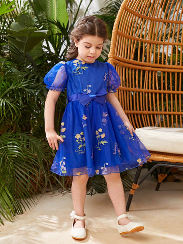 Little Girl's Flower Embroidery & Mesh Patchwork Dress