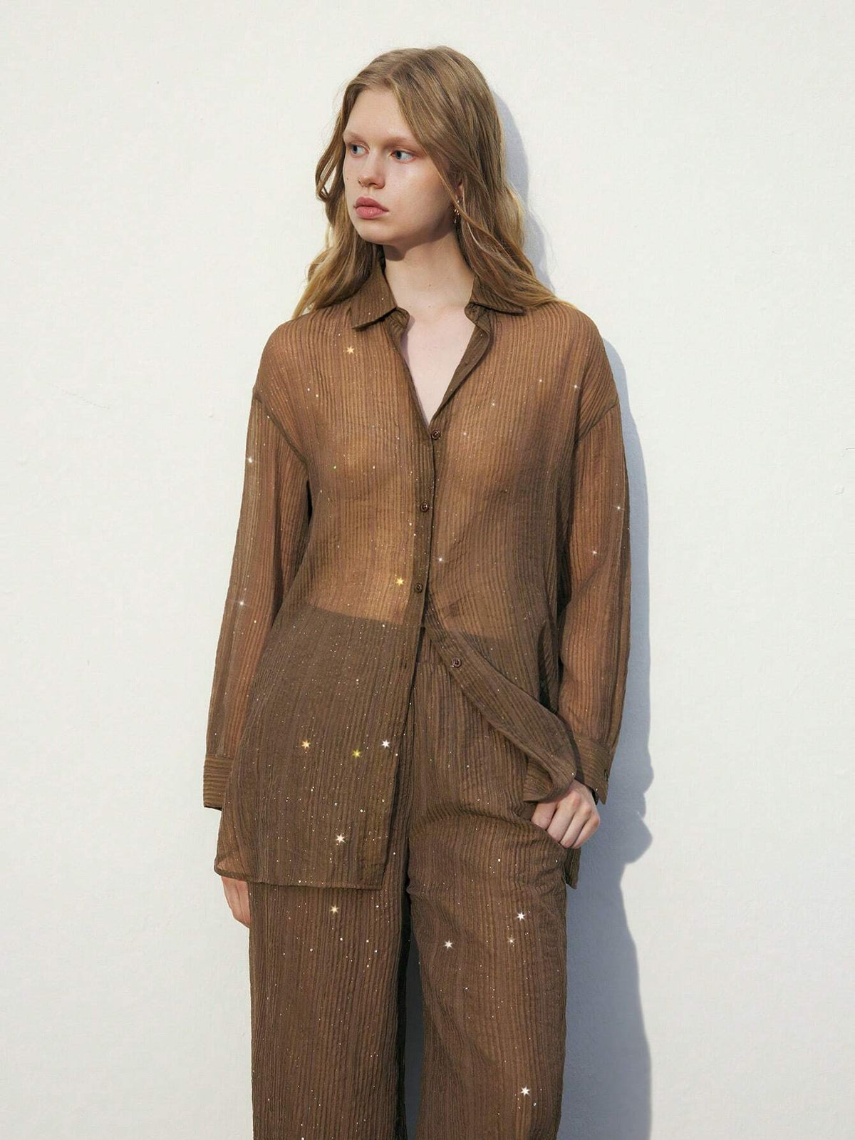 Maija Women's Solid Color Button Front Long Sleeve Casual Sheer Blouse