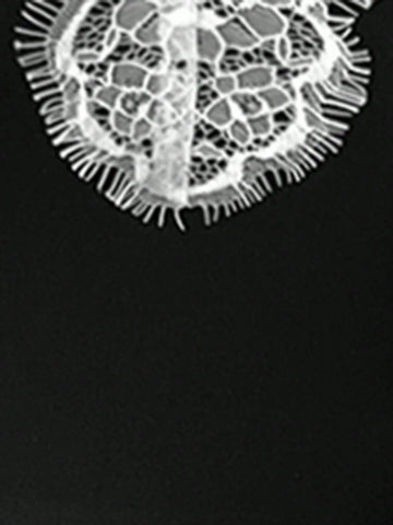 1pc Women's Lace Patchwork Long Sleeve Cinched Waist Ruffle Decor Bow Accent Elegant Dress,