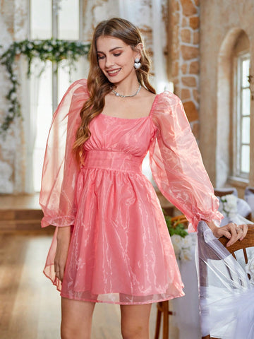 Women's Mesh Puff Sleeve Waist-Flattering Dress