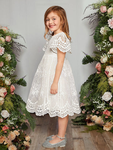 Toddler Girls 1pc Scallop Trim Embroidery Mesh Overlay Dress