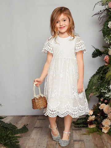 Toddler Girls 1pc Scallop Trim Embroidery Mesh Overlay Dress