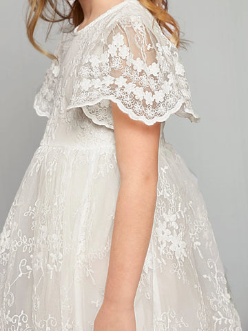 Toddler Girls 1pc Scallop Trim Embroidery Mesh Overlay Dress