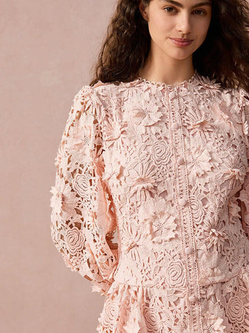 Floral Applique Round Neck Lantern Sleeve Lace Elegant Mini Dress,Fall Women Dress,Winter Women Dress,Fall Winter Women's Clothing,Fall Women Outfits,Winter Clothes,Winter Women Dress,Christmas Dress,Christmas Women Clothes