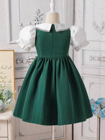Young Girl Elegant Lady Princess Academy Contrast Floral Embroidery Peter Pan Collar Puff Sleeve 2 In 1 Splicing Square Neck A-Line Knee Length Dress,