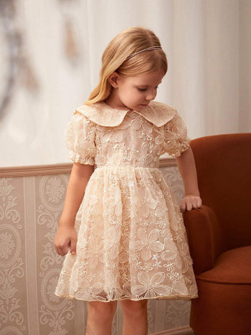 Young Girl Embroidered Mesh Puff Sleeve Summer Dress