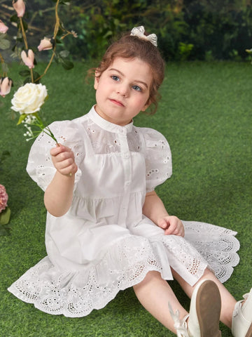 Young Girl Eyelet Embroidery Puff Sleeve Ruffle Hem Dress