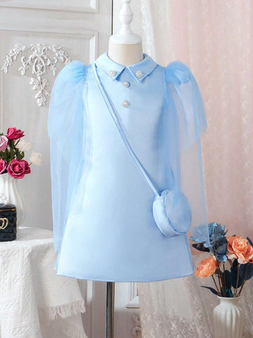 Young Girl Long Sleeve Mesh Puff Sleeve Dress