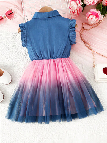 Young Girl Ombre Ruffle Trim Mesh Hem Shirt Dress
