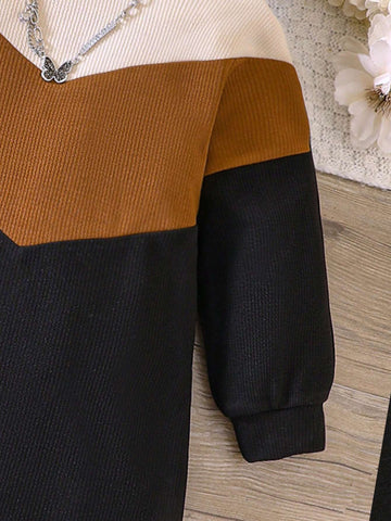 Young Girl Patchwork Color Block Minimalist Casual Everyday Dress