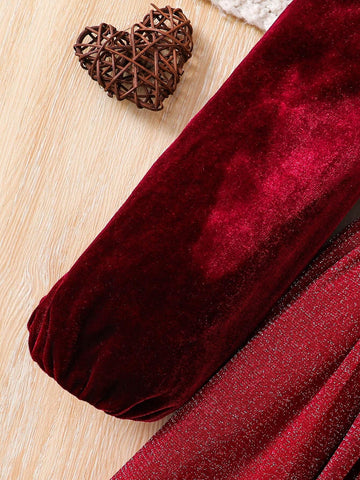 Young Girl Red Velvet Round Neck Splice Woven Glitter Mesh Fit Elegant Dress,Christmas Dress