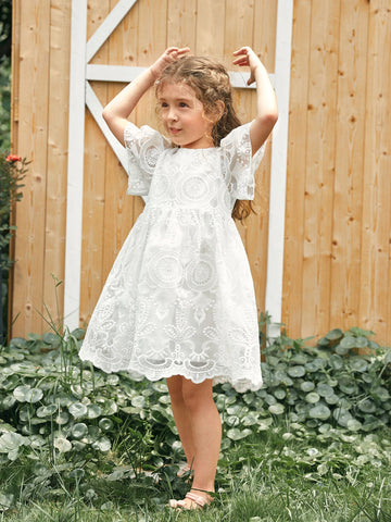 Young Girl Toddler Girls 1PC Flounce Sleeve Embroidery Mesh Overlay Dress