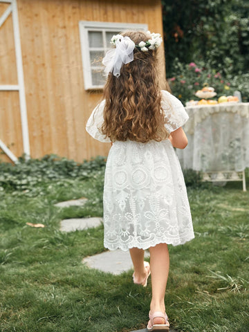 Young Girl Toddler Girls 1PC Flounce Sleeve Embroidery Mesh Overlay Dress