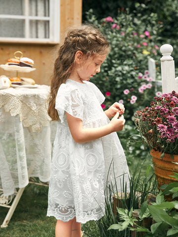 Young Girl Toddler Girls 1PC Flounce Sleeve Embroidery Mesh Overlay Dress