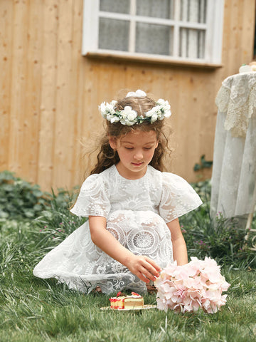 Young Girl Toddler Girls 1PC Flounce Sleeve Embroidery Mesh Overlay Dress