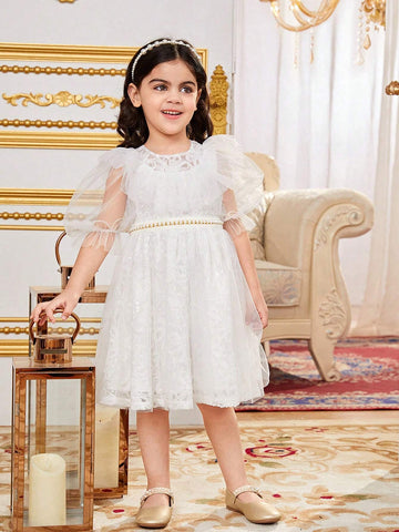 Young Girls' Gorgeous Mesh Round Neck Sheer Ruffle Hem Puff Sleeve Dress