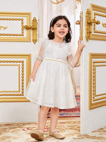 Young Girls' Gorgeous Mesh Round Neck Sheer Ruffle Hem Puff Sleeve Dress