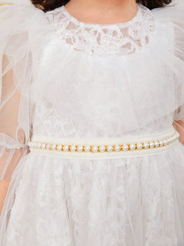 Young Girls' Gorgeous Mesh Round Neck Sheer Ruffle Hem Puff Sleeve Dress