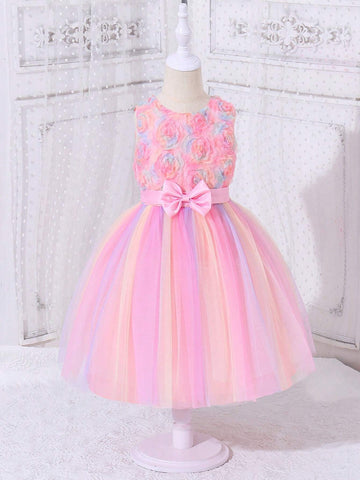 Young Girl's Princess Style Romantic 3d Flora Rose Ombre Mesh Dress