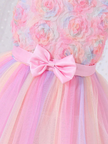 Young Girl's Princess Style Romantic 3d Flora Rose Ombre Mesh Dress