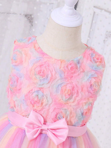 Young Girl's Princess Style Romantic 3d Flora Rose Ombre Mesh Dress