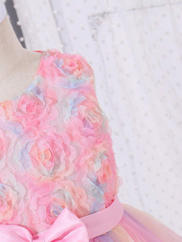 Young Girl's Princess Style Romantic 3d Flora Rose Ombre Mesh Dress