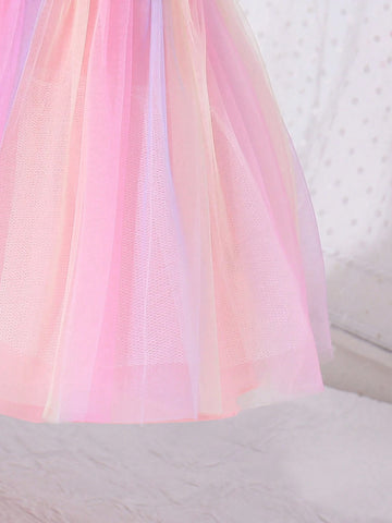 Young Girl's Princess Style Romantic 3d Flora Rose Ombre Mesh Dress