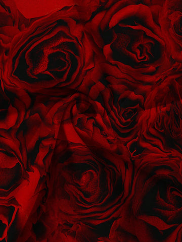 Studio sunshine Red Rose Floral Tie Dye Party Dress, Off Shoulder Fitted Silhouette, Suitable For All Seasons