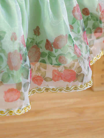 Summer Season Girls Embroidered Long-Sleeve Round Neck Cute Long Mesh Dress With Flower Edging And Netting For Countryside Holiday, Summer