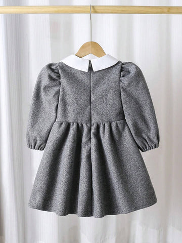 Toddler Girls Elegant Luxury Fashionable Princess 5-D Floral Contrast Color Peter Pan Collar Waisted A-Line Grey Wool Blend Long Sleeve Dress