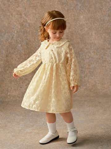 Toddler Girls Elegant Platinum Lace Collar Fitted Dress