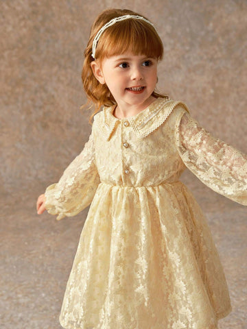 Toddler Girls Elegant Platinum Lace Collar Fitted Dress