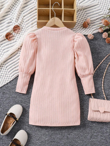 Toddler Girls Sweet & Elegant Puff Sleeve Jacquard Knitted Dress, Suitable For Casual, Travel, Street, Holiday, Daily Wear, Spring, Autumn And Winter