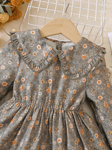 Kids Girls Toddler Cute Peter Pan Collar Patchwork Ruffle Hem Ditsy Floral Vintage Style Long Sleeve Dress, Autumn/Winter