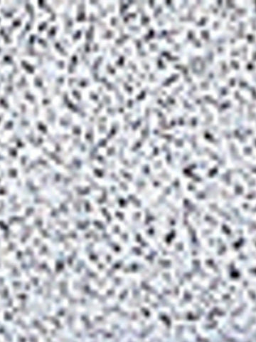 Women's High Heels For Spring/Summer, Fashion Party Outdoor High-End