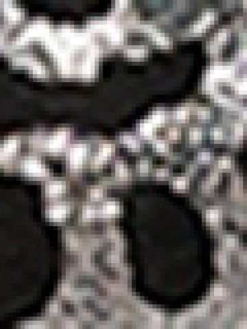 Women's Pointed Toe High Heel Shoes With Leopard Print, Metal Rhinestones, Butterfly 3D Floral Decor