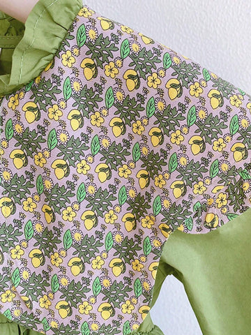 Young Girl 1Pc Long Sleeve Fall Style Children'S Princess Dress With Avocado Green Floral Collar And Lapel